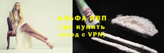 твердый Надым