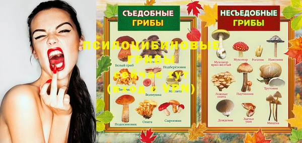 МДМА Михайловка