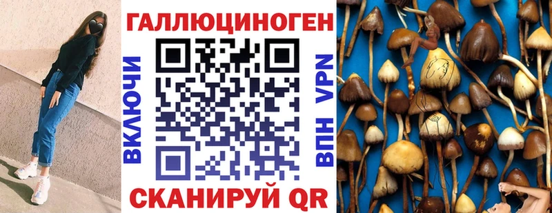 магазин продажи   MEGA tor  Псилоцибиновые грибы Psilocybine cubensis  Туринск 