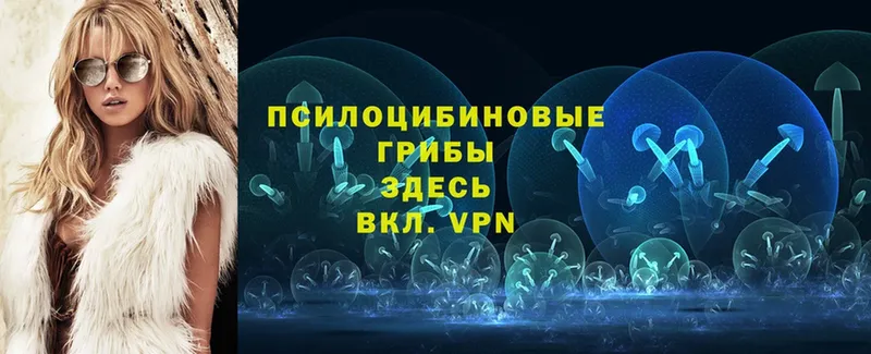 Псилоцибиновые грибы мицелий  магазин продажи   Туринск 